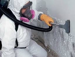 Best Industrial Mold Remediation  in Orleans, IN